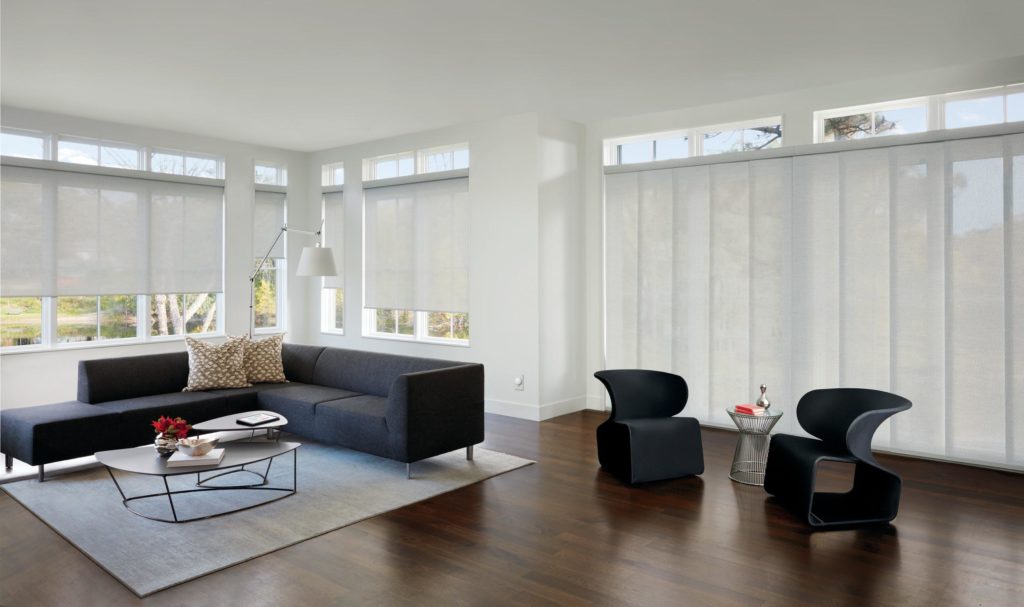 Hunter Douglas Roller shades and Skyline panel track