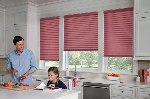 Benefits Motorized Shades 2