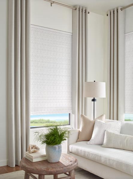 Which Type of Hunter Douglas Roman Shades 1