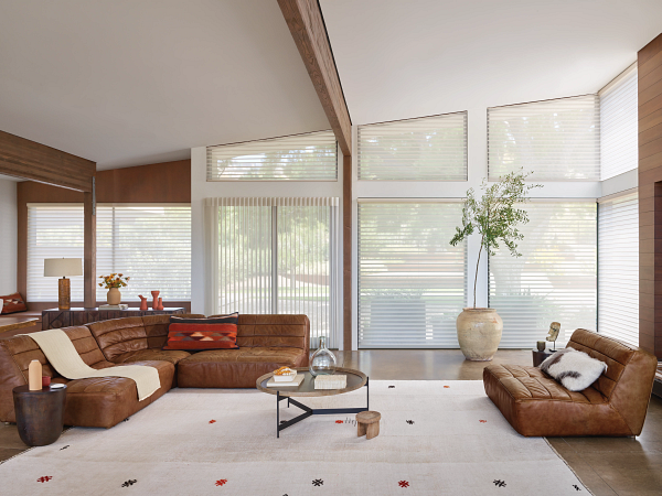 Why should I choose Hunter Douglas Gen 3 PowerView Shades for my home?