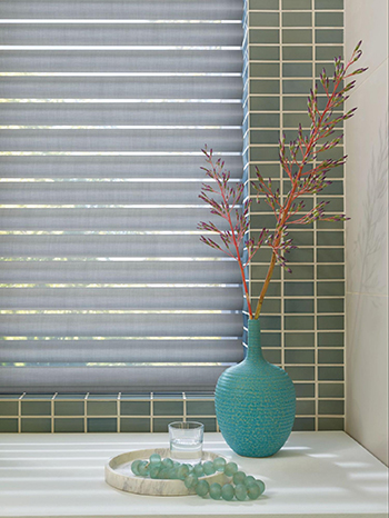 bathroom blinds and window