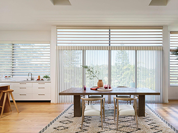 windows nad blinds