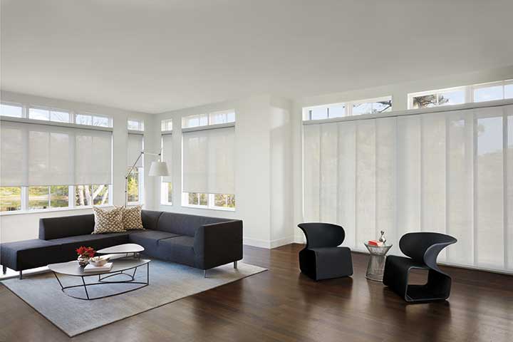 Roller Shades and Matching Panel Track