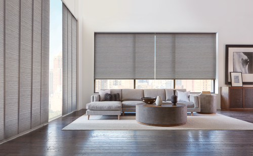 Skyline Panel Track with Screen Shades